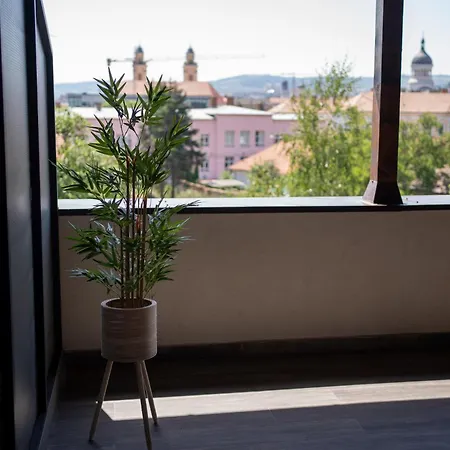 Town View Apartment *