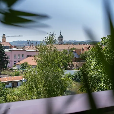 Town View * Cluj-Napoca