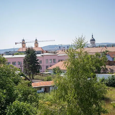 Town View *