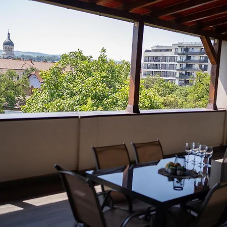 Town View Apartment