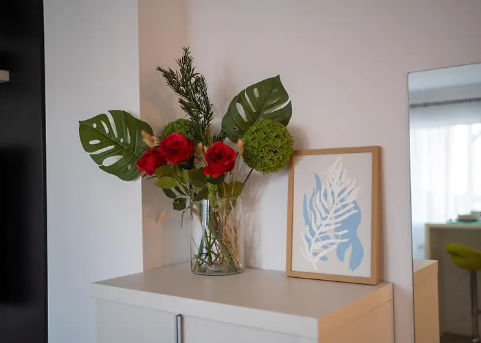 Apartment Town View Cluj-Napoca