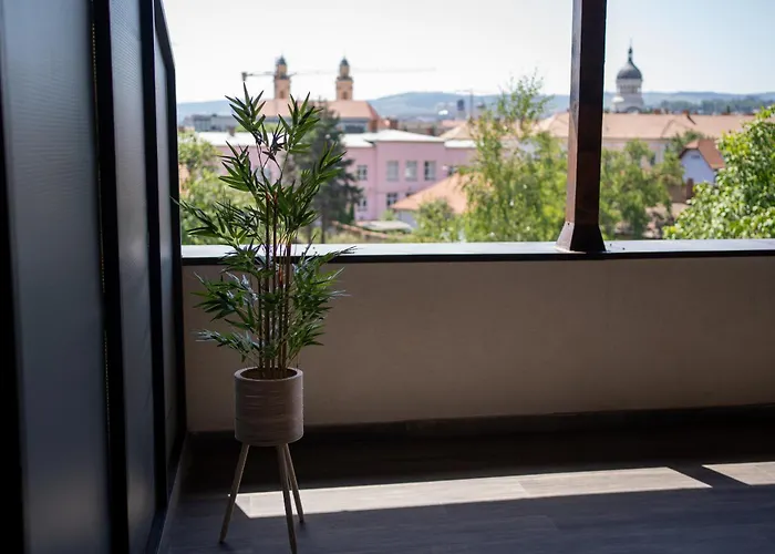 Town View Apartment *