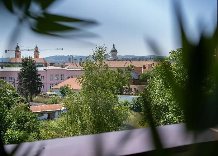 Town View * Cluj-Napoca